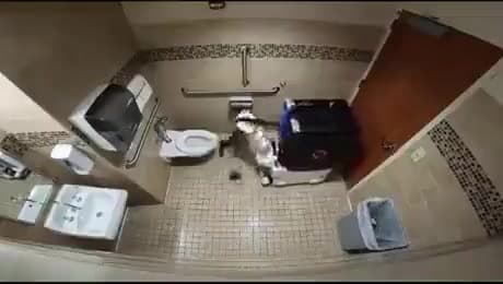 Video thumbnail for Still think robots aren't coming for our jobs?