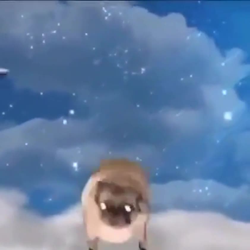 Video thumbnail for Fugitpug2024