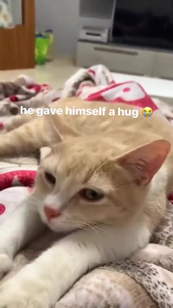 Video thumbnail for Cutest thing ever