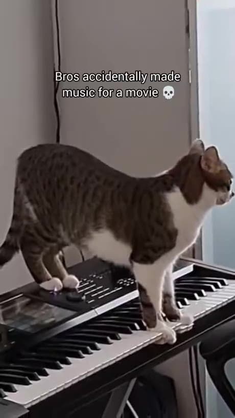 Video thumbnail for Who said only humans can make music