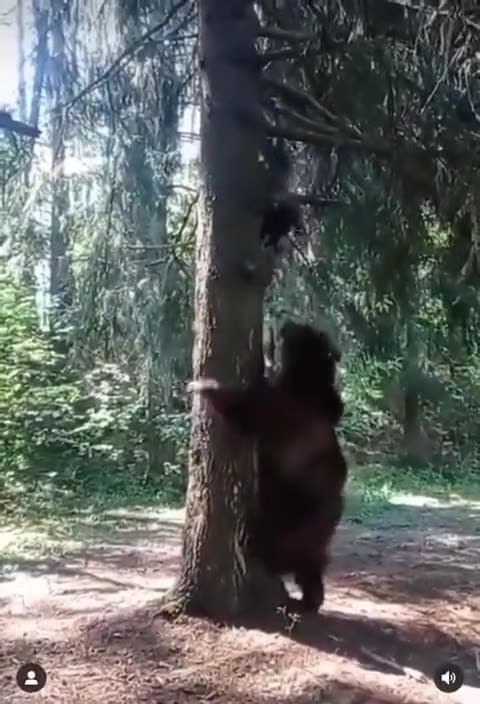 Video thumbnail for Man vs wild