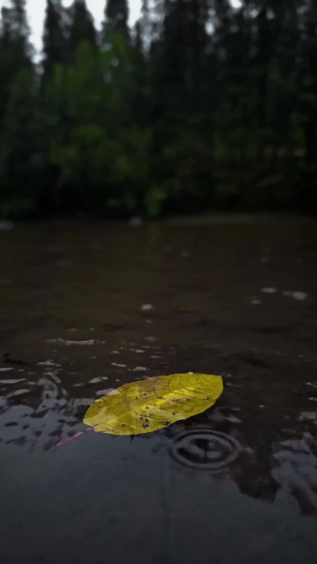 Video thumbnail for Asthetic relaxation