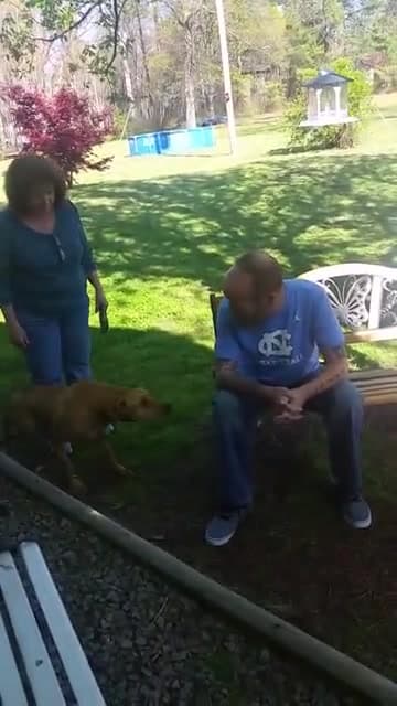 Video thumbnail for The owner lost 50 lbs and the dog couldn't recognise him, until he sniffed the owner, and then got overwhelmed with emotions