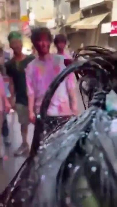 Video thumbnail for These apes harrassed a Japanese tourist on Holi