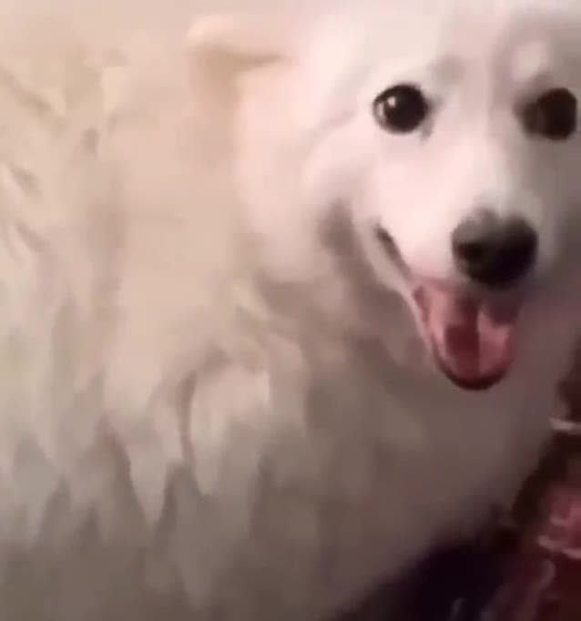 Video thumbnail for Chonke to not in seconds