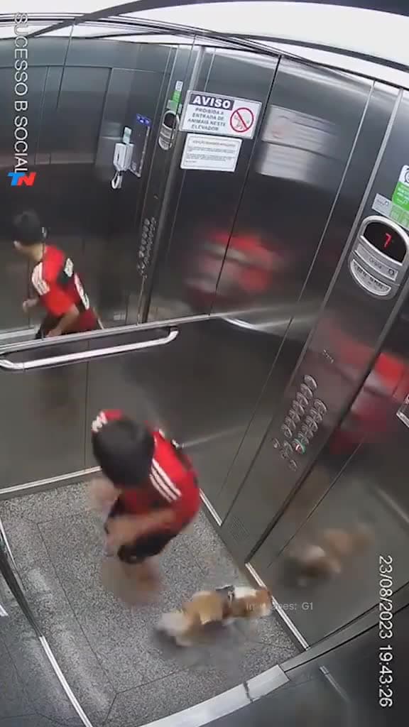 Video thumbnail for Boy saves puppy whos leash got stuck in the elevator doors