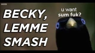 img2