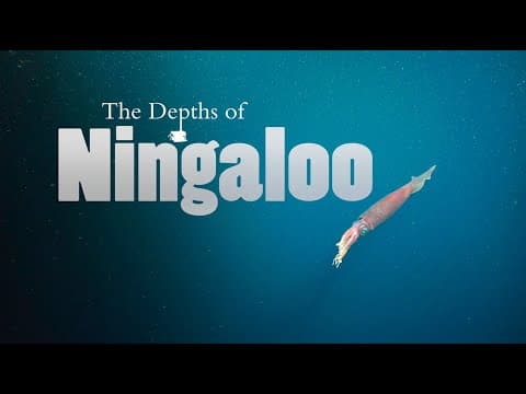 YouTube thumbnail for The Depths of Ningaloo ~ SOI Film