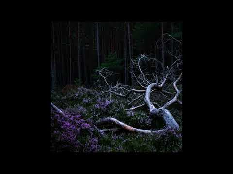 YouTube thumbnail for Aho Ssan & Resina - Egress VII [elektronika, eksperymentalna]