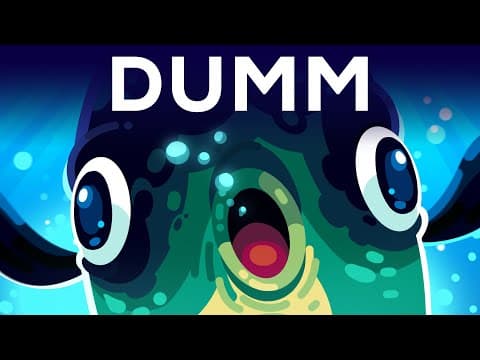 YouTube thumbnail for Der Mondfisch - Das dümmste Tier der Welt (Kurzgesagt)