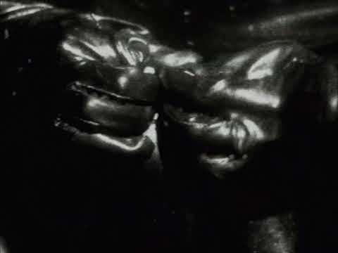 YouTube thumbnail for Insula Iscariot - Acceptance