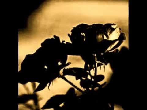 YouTube thumbnail for Comsat Angels - Nature Trails (BBC Sessions version) [1983(?)]