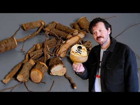 YouTube thumbnail for Tasting American trees