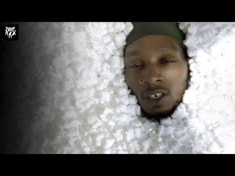 YouTube thumbnail for Handsome Boy Modeling School - The World's Gone Mad (feat. Del The Funky Homosapien & Barrington Levy)
