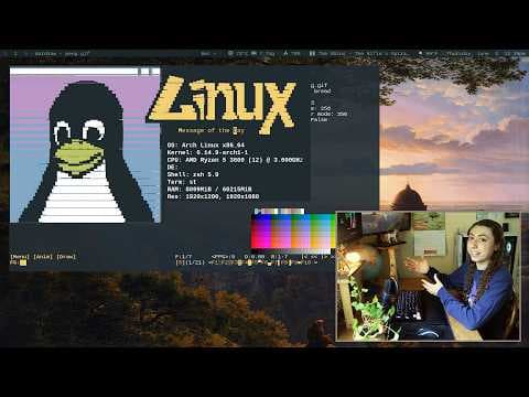YouTube thumbnail for Rare Linux tools you probably haven't seen before (DurDraw, Caligula, Pastel, Astroterm) | Bread on Penguins