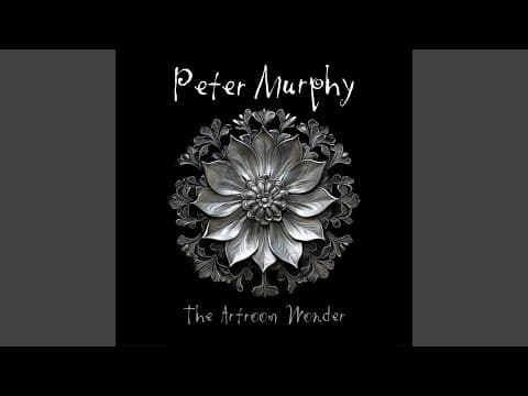 YouTube thumbnail for Peter Murphy - The Artroom Wonder