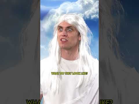 YouTube thumbnail for God Makes Schnauzers