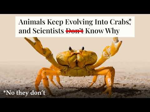 YouTube thumbnail for “Carcinization” and the Perils of Overconvergence