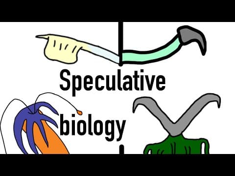 YouTube thumbnail for A speculative evolution project that takes place inside a McDonald's cup