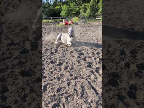 YouTube thumbnail for Sandy living up to her name