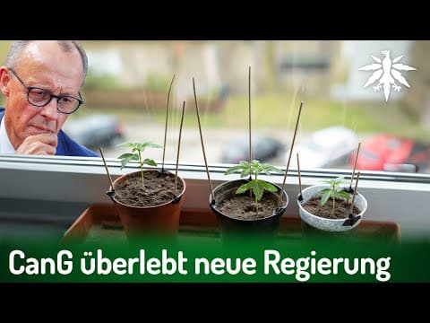 YouTube thumbnail for DHV: Cannabisgesetz überlebt CDU-geführte Regierung