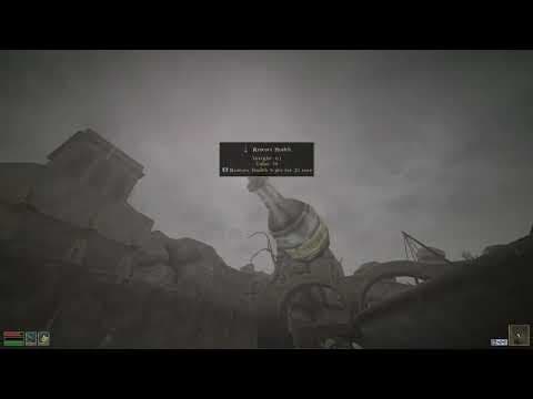 YouTube thumbnail for Modders and phyiscs to Morrowind with Lua