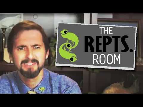 YouTube thumbnail for {YTP} ~ The Repts. Room [Supershape; 9:16]
