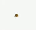 YouTube thumbnail for Un Mamut Chiquitito quería volar... [YouTube]