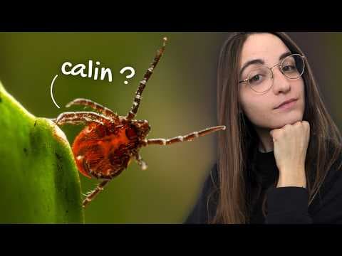 YouTube thumbnail for 4 minutes (ou presque) pour comprendre LES TIQUES | Terrapodia (7m30 en réalité)