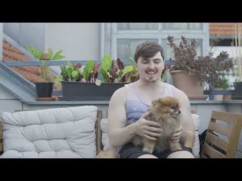 YouTube thumbnail for I'm Vegan Apart from Dog Meat