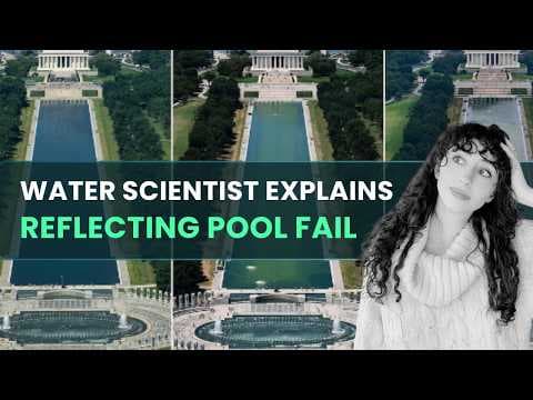 YouTube thumbnail for Environmental scientist: What Trump did wrong & how she'd fix it