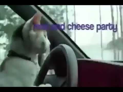 YouTube thumbnail for mac and cheese party everyone is invited :3