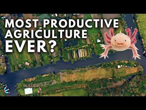 YouTube thumbnail for Chinampas of Mexico