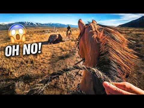 YouTube thumbnail for Mustang's First Mountain Ride - Did We Train This Horse Good Enough?