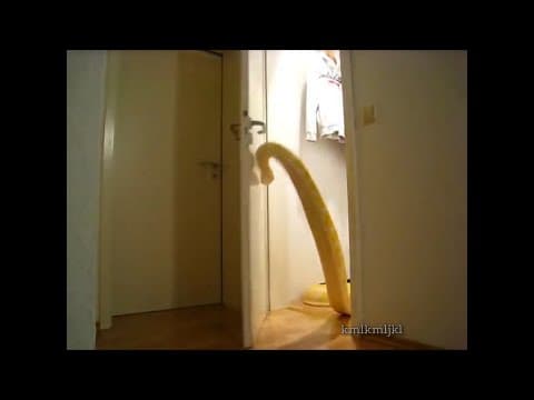 YouTube thumbnail for starting the year of the snake off with a bang