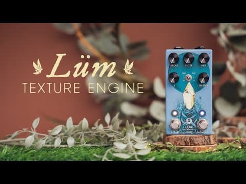 YouTube thumbnail for Walrus Audio Lüm