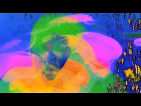YouTube thumbnail for Lumerians - The Bloom (2013) | Flicker Warning