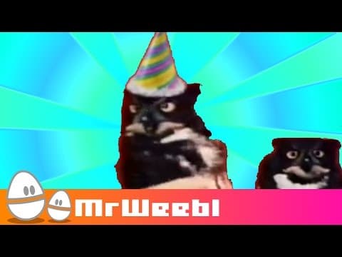 YouTube thumbnail for Rotate Your Owl