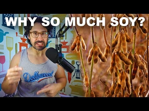 YouTube thumbnail for Why U.S. farmers rely on soy (and why they're in trouble) [33:00]