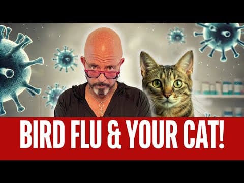 YouTube thumbnail for Jackson Galaxy: What You NEED to Know About Bird Flu