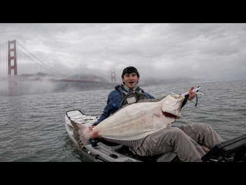 YouTube thumbnail for (Huge halibut in SF Bay, caught, photod and released)