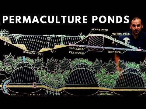 YouTube thumbnail for Permaculture Pond - Video Primer on why where and how