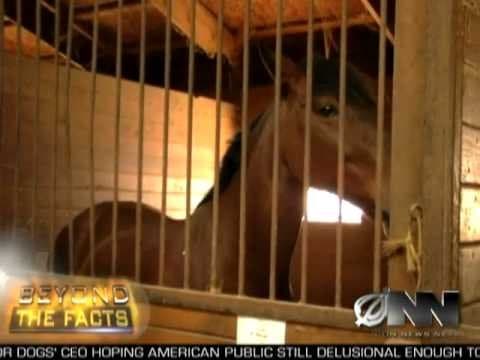 YouTube thumbnail for First Openly Gay Racehorse To Compete Sunday