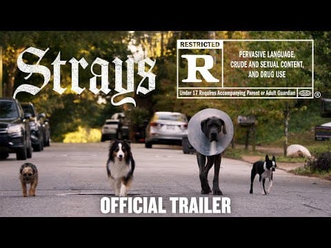 YouTube thumbnail for Strays | Official Trailer