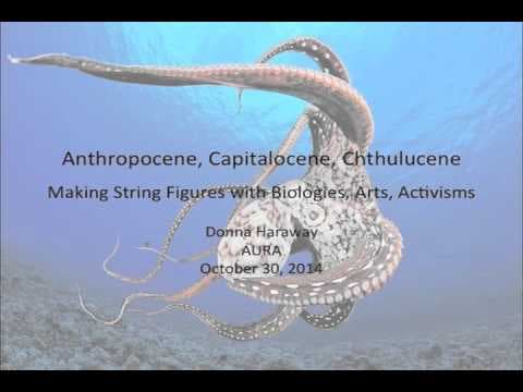 YouTube thumbnail for Anthropocene, Capitalocene, Chthulucene: Making String Figures with Biologies, Arts, Activisms by Donna Haraway