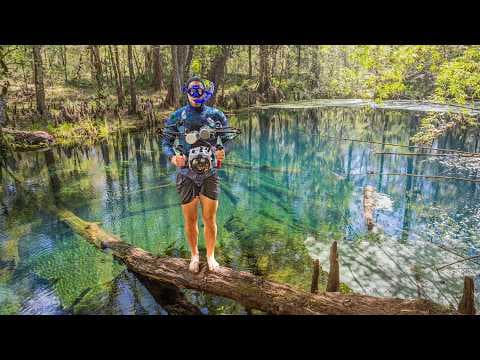 YouTube thumbnail for Snorkeling Hidden Sinkholes for Rare Creatures