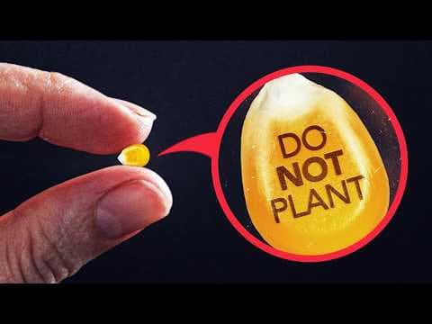 YouTube thumbnail for Exposing Why Farmers Can't Legally Replant Their Own Seeds