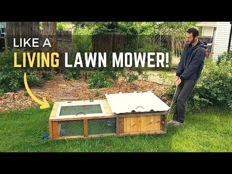 YouTube thumbnail for DIY quail Tractor -- Video
