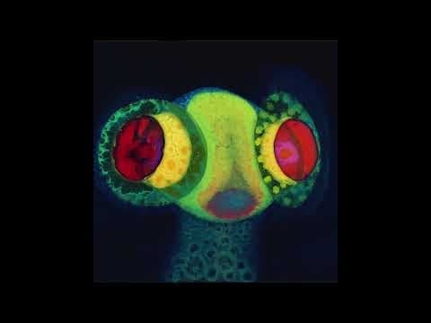 YouTube thumbnail for Osees - Sorcs 80 (full album)