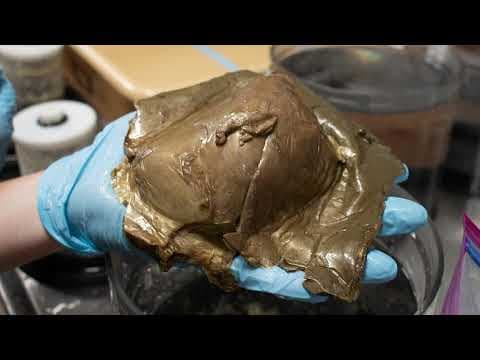 YouTube thumbnail for Mysterious Golden Orb Identified! [NOAA Ocean Exploration, sea anemone]